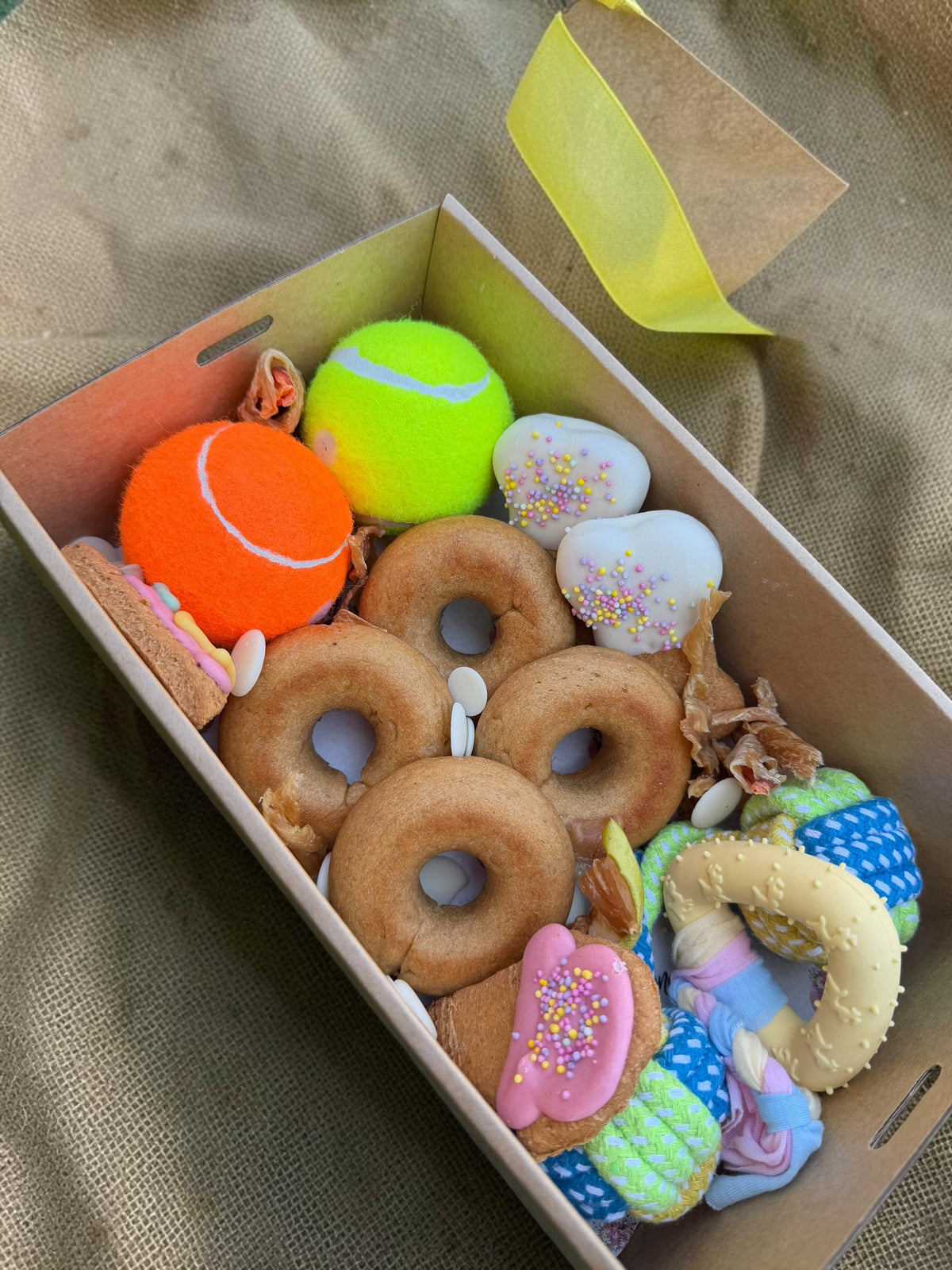 Active Doggy Box