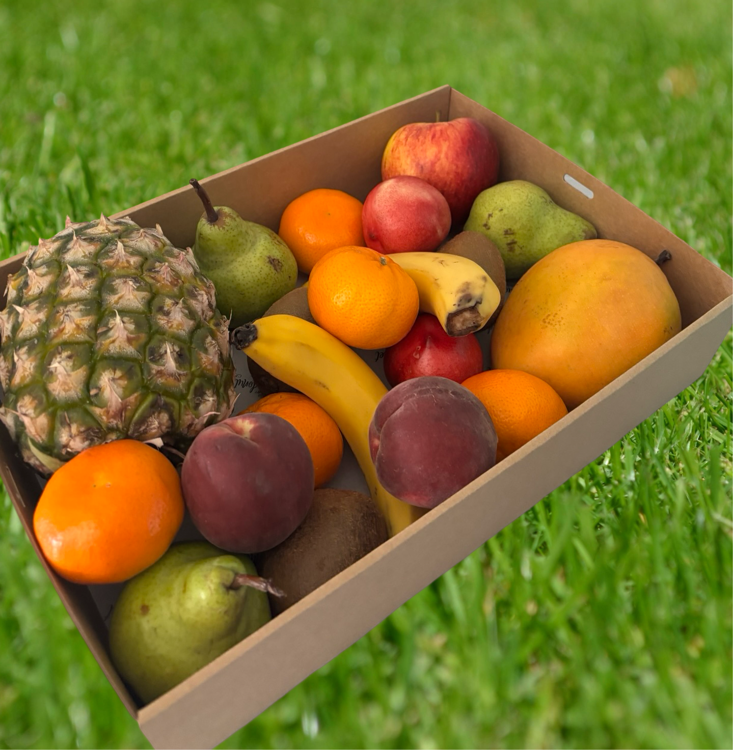 Fresh Fruit Hamper